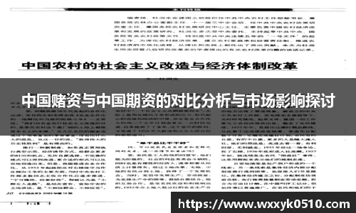 中国赌资与中国期资的对比分析与市场影响探讨