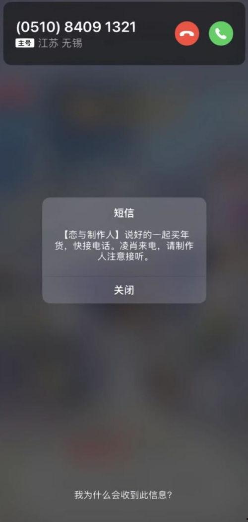 国产性a在线视频,探索本土影视新潮流