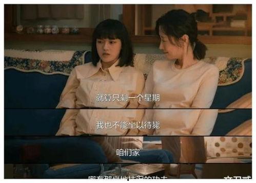 国产剧道歉视频在线播放,在线播放引发热议